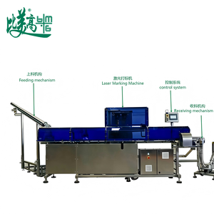 เครื่องเข้ารหัสฝากระป๋องอะลูมิเนียมด้วยเลเซอร์: แยกฝาอัตโนมัติ, ทำเครื่องหมาย QR แบบแปรผัน, ตรวจสอบด้วยกล้อง, คัดแยกอัตโนมัติ, ซ้อนกระป๋องเบียร์/โซดา - Product Image 2