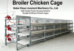 Jaulas para Pollos de Tipo H Automáticas de Múltiples Niveles, 3/4 Niveles, Capacidad para 60-80 Aves, Ahorro de Espacio, Alimentación Separada, Compactas, Fáciles de Operar - Product Image 5