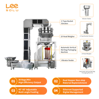 Ligne de production de machines d'emballage verticales entièrement automatiques pour sacs en filet, double trémie pour matériaux en blocs de fruits et légumes