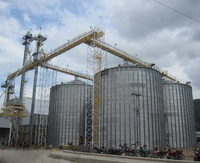 Silo a Fondo Piatto da 10.000 Tonnellate per Stoccaggio Cereali, Spedizione Gratuita, Grandi Sacchi Silo per Mais, Chicchi di Caffè, Grano e Altri Prodotti Alimentari