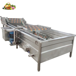 Seed Fruit and Vegetable Cleaning Price Ultrasonic Washing Machine - Product Image 5