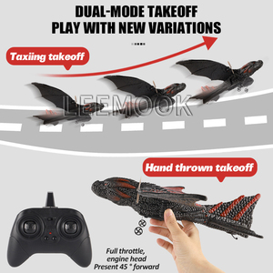 2.4G khủng long <span class=keywords><strong>b</strong></span>ọt tàu lượn bay <span class=keywords><strong>r</strong></span>ồng Máy bay mô hình đồ chơi EPP tàu lượn mềm máy bay chim máy bay RC bay đồ chơi - Product Image 4