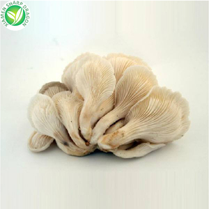 เห็ดนางรมแช่แข็ง20*40มม. สำหรับผู้ซื้อ - Product Image 2