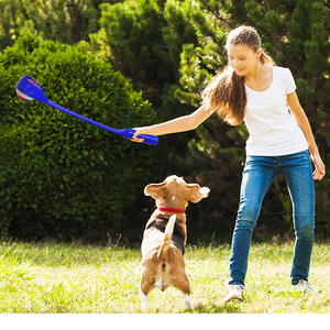 HOMEPLANET Best-seller Jouet à mâcher interactif en caoutchouc <span class=keywords><strong>Club</strong></span> Training Small Large Dog Sports Ball Toy Pet Outdoor Throwing <span class=keywords><strong>Club</strong></span> Ball Set - Product Image 5