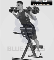 Chaise romaine multifonctionnelle pliable et banc d'hyperextension pour entraînement de l'étirement du dos à domicile - Hommes et femmes