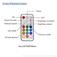 ESann Télécommande RF sans fil 21 touches Mini contrôleur de couleur de rêve pour bande lumineuse LED pixel de couleur de rêve