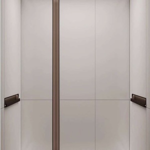 Ascensor de Pasajeros con Tracción Eléctrica de 400kg/600kg, Elevador Residencial para Interiores y Exteriores, para 4-8 Personas - Product Image 2