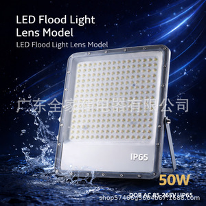 Projecteur LED à lentille, modèle 50W, IP65, extérieur, en aluminium, avec puce COB, large faisceau, montage en surface - Product Image 1