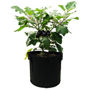 Noir Feutre de Jardin Planteur Tissu Hydroponique Plante Pot de <span class=keywords><strong>Culture</strong></span> de Légumes Sac Fleur Pots de <span class=keywords><strong>Culture</strong></span> - Product Image 1