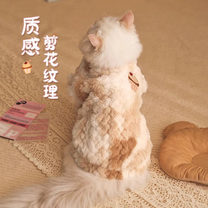 Hoopet – manteau d'hiver pour chat, vêtements chauds coupe-vent pour animaux de compagnie Ragdoll British Shorthair, vêtements d'automne et d'hiver - Product Image 2