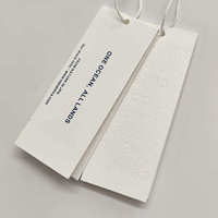 Offre Spéciale Étiquettes volantes personnalisées de luxe pour vêtements avec logo Étiquettes volantes en papier plastique Corde à cordes pour vêtements de marque