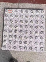 Indicadores Táctiles de Granito Natural G603 de Alta Resistencia - Baldosas de Piedra Resistentes a la Intemperie para Pavimentación de Aceras Municipales