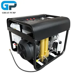 GP High Pressure 300bar Auto Purge 4500psi Diving Inflatable Bottle PCP Air Compressor