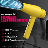 Sèche-cheveux professionnel FirePhoenix M2, vente en gros OEM, moteur ionique sans balais 1875W, léger 430g, séchage rapide, prise US 125V