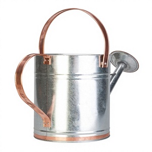 Best Design Galvanized steel watering can with removable rose With Natural Finishing iron watering can Garden Water can - Product Image 5