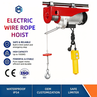 Palans électriques monophasés certifiés CE antirouille 110V 220V, mode sans fil pour atelier, entrepôt, garage