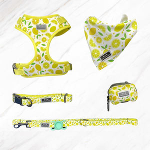 Haustier Halsbänder Leashold Slip Blei Leine Walking Cross body Hunde geschirr Soft Bag PVC-Kragen Spike Chain Halskette Hanf - Product Image 3