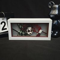 Boîte à lumière Anime 3D, boîte à ombre, veilleuses LED, décoration d'intérieur, lampe de nuit, alimentation USB, acrylique, bois, fixation murale, table pour chambre à coucher