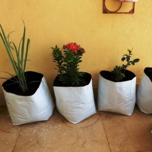 Sacs de culture en plastique noir <span class=keywords><strong>pour</strong></span> serre fruits légumes bleuets pépinière <span class=keywords><strong>jardin</strong></span> planteur <span class=keywords><strong>pour</strong></span> plantes - Product Image 4