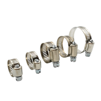 Kit d'assortiment de colliers de serrage à vis sans fin en métal avec plusieurs tailles pour atelier et fournitures d'entretien