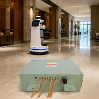 Paquete de Baterías LiFePO4 de 36V 100Ah para Robot de Restaurante, Robot de Entrega Autónomo, BMS Inteligente, Carga Rápida, Venta al por Mayor de Fábrica OEM ODM