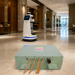 Batterie LiFePO4 36V 100Ah pour robot de <span class=keywords><strong>restaurant</strong></span>, pack de batteries pour robot de livraison autonome, BMS intelligent, charge rapide, OEM ODM, vente en gros d'usine - Product Image 1