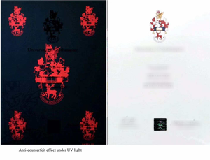 Papier de certificat de sécurité A4 personnalisé avec filigrane et papier de certificat universitaire d'impression à chaud rouge - Product Image 2