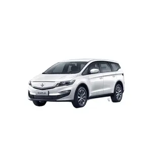 2021 China Best Price New Energy Automobile Livan Maple 80V Youxing Version For Sale