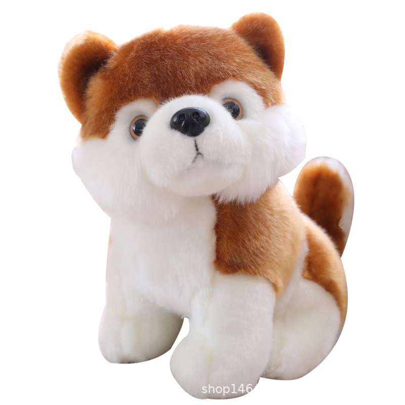 Perro Akita