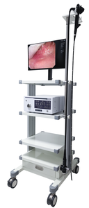 Endoscope vidéo vétérinaire EURVET, équipement d'<span class=keywords><strong>imagerie</strong></span> <span class=keywords><strong>médicale</strong></span>, gastroscope, colonoscope, avec accessoires - Product Image 2