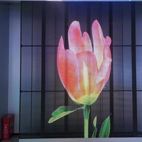 Écran LED transparent HDR HLG lisible en plein soleil, transparence de 70%-90%, garantie de 3 ans pour les centres commerciaux et les magasins de détail