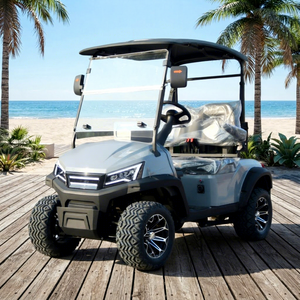 彩虹电动高尔夫球车 72V 锂电池 2 座 5kw 高尔夫球车越野车 定制颜色 额外储物空间 DOT 认证 美国越野车 - Product Image 1