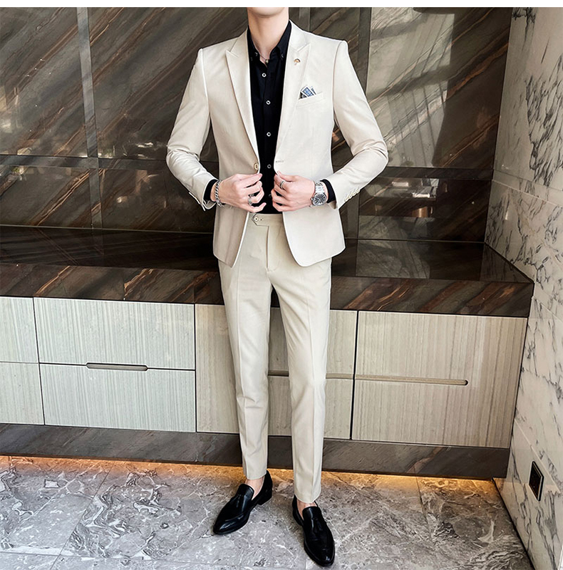 Costume Homme 2 Ou 3 Pièces - Coupe Ajustée Ou Droite - En Laine, Tweed Ou Velours - Pour Affaires, Mariage, Occasion Formelle