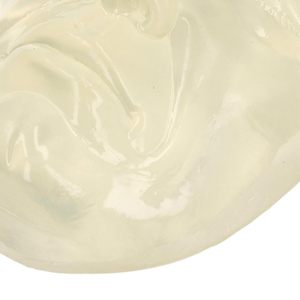 Modelo Anatómico de Cabeza Facial de Silicona Reutilizable con Certificación ISO para Entrenamiento de Inyección con Cuidado de Enfermería para Educación en Ciencias Médicas - Product Image 2