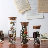 Tube à essai en verre avec couvercles de liège, pour mariage, artisanat artistique, décoration, à faire soi-même, flacons en verre Borosilicate, rechargeables