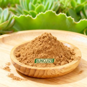 ผงสกัด <span class=keywords><strong>Kalanchoe</strong></span> pinnata จากธรรมชาติสำหรับใช้ในอาหารเครื่องสำอางและอาหารเสริม - Product Image 4