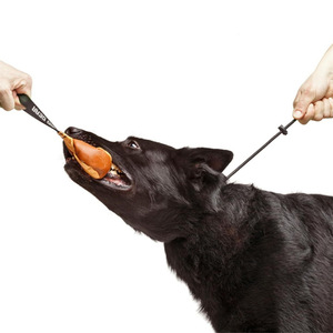 สายจูงฝึกสุนัข ไนลอน สีดำ ปรับได้ สำหรับเดินเล่นกลางแจ้งและควบคุมการกัดกรอม - Product Image 3