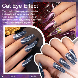 Esmalte en Gel Magnético Ojo de Gato Reflectante BOZLIN Estándar UE y EE. UU. Libre de Hema Disco Ojo de Gato para Fiestas OEM Set de Esmalte en Gel para Uñas - Product Image 6
