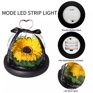 Nuovo arrivo del prodotto 2025 girasole eterno in vetro con luce a Led per il regalo di San Valentino <span class=keywords><strong>nome</strong></span> personalizzato conservato per sempre scatola di fiori - Product Image 5