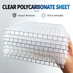 Panneaux de <span class=keywords><strong>toiture</strong></span> en <span class=keywords><strong>polycarbonate</strong></span> double couche transparents pour serres et véranda, plaques alvéolaires en <span class=keywords><strong>polycarbonate</strong></span> - Product Image 5