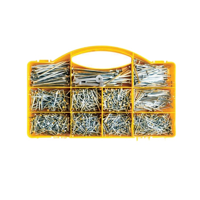 Durable Different Sizes of Nails Set Customized Galvanized Wholesale Price Factory Direct Sales Commercial Home Use Wire Nails