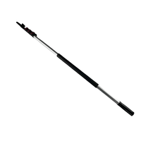 Poteau d'extension télescopique de 30 pieds de 9m avec pointe en métal pour changeur d'ampoule Rouleau de peinture Duster Nettoyage de vitres Lampes suspendues