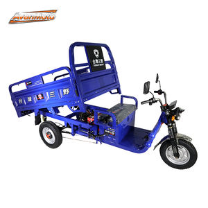 가장 인기있는 500kg 60KM 1200W 전기 3 륜 레드 DR 콩고에 대한 공급 업체 배송 준비 - Product Image 5