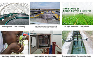 Aquaponics Wireless-Übertragung auf dem Telefon und PC Multi-Parameter-Analysator Überwachung PH DO Nitrat Nitrit Fluorid Calcium - Product Image 6