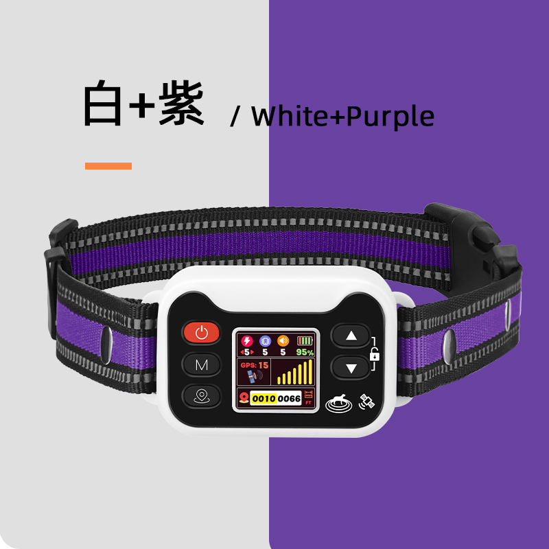 White+Purple