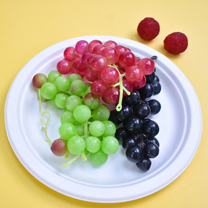 Assiettes jetables en bagasse de canne à sucre écologiques 100% compostables de 9 pouces pour gâteaux, pizzas, micro-ondes et résistantes à l'huile - Product Image 1