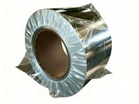 Tôle d'acier électrogalvanisée 0,6 mm, plaque de 100 x 2 mm d'épaisseur