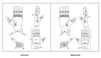 Robot colaborativo Hans de alta calidad y 6 DOF 12 articulaciones de movimiento Cobot brazo mano robótica humanoide para automatización Industrial