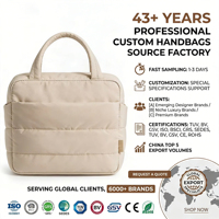 Luxury Customization Luxury Modern Vintage Handled Nylon Pillow Shape Evening Handbag for Women with Waterproof Durable Portable