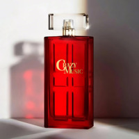 Perfume Original Factory 100mL Perfume de alta calidad con diseño de tapa único para mujeres OEM